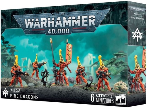 DRAGONS FLAMBOYANTS